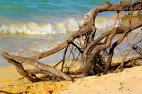 Rhode Island